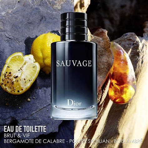 sauvage dior notas aromaticas|sauvage Dior colonia.